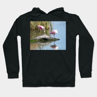 Roseate Spoonbills Resting Time Hoodie